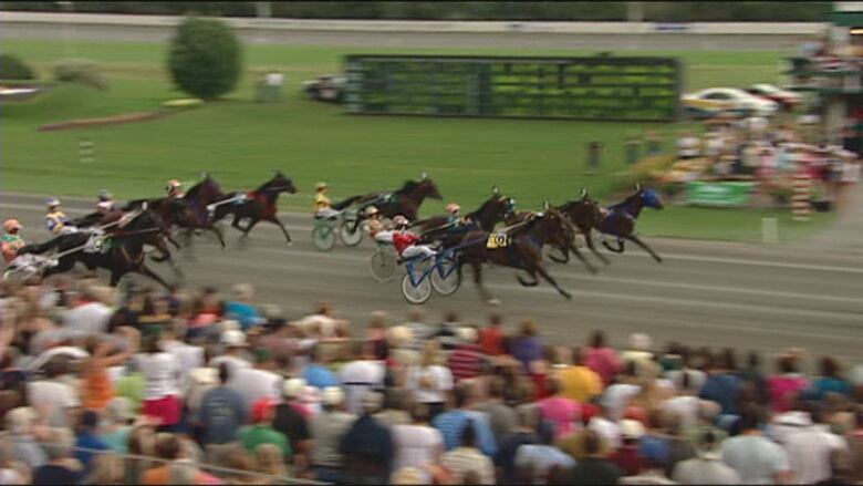 Harness-racing event with horses pulling drivers in small carts behind them. 