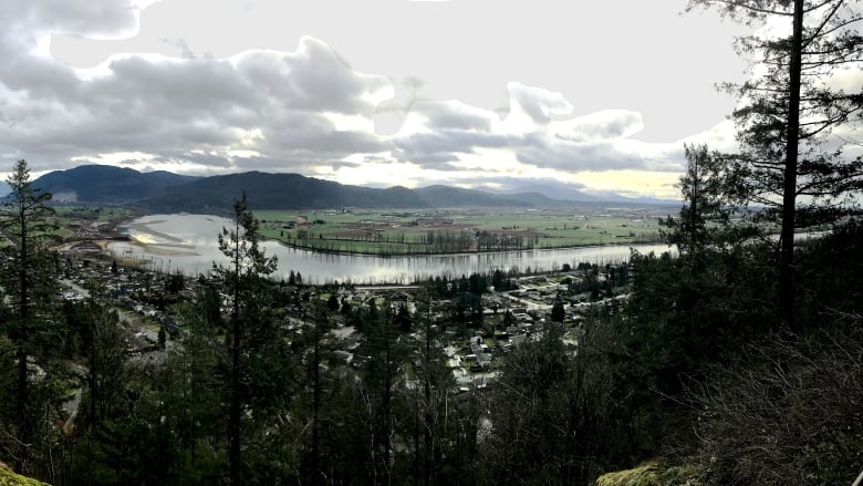 scenic of river and farmland