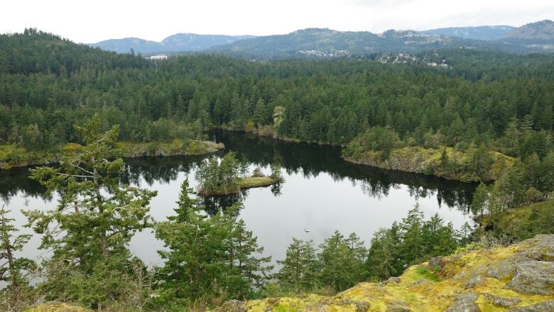 A lake pictured surrounded by mossy rocks and trees. 