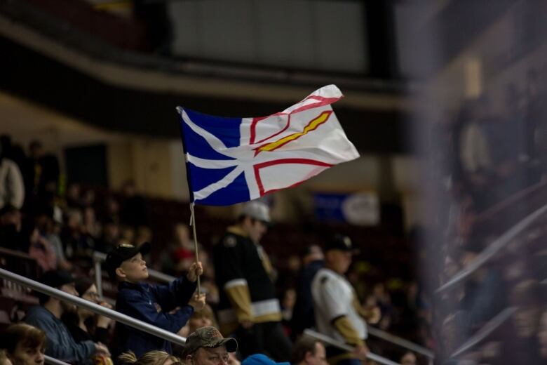 A young fan waves a flag during a hockey game. 