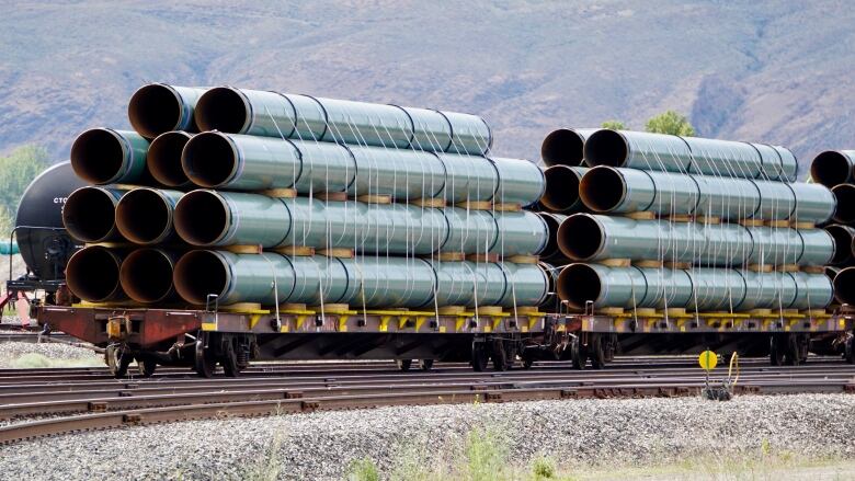 A train loaded with pipes in front of a mountain.