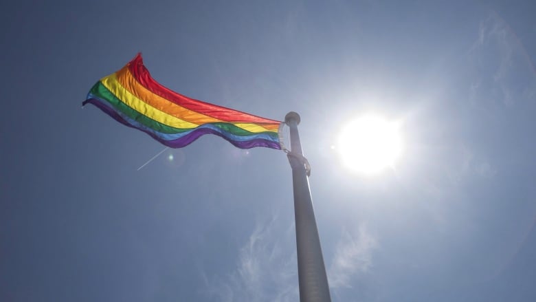 A pride flag hangs flaps in the wind at the top of a flagpole. A blue sky and sun are seen in the background.