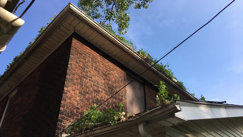 This vacant home on Peter Street is one the City of Windsor has been monitoring, and issuing orders, to improve the condition of the property.