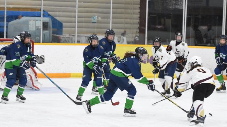 Women playing hockey on ice