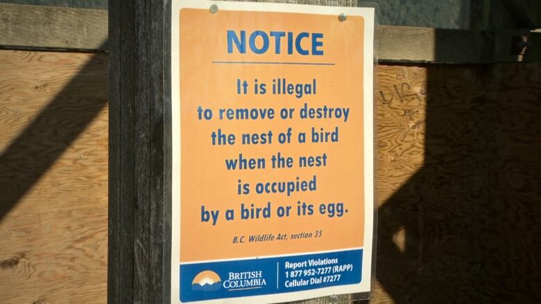 A yellow sign with blue writing says NOTICE: it is illegal to remove or destroy the nest of a bird when the nest is occupied by a bird or its egg.