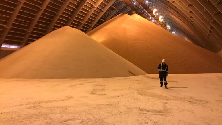 A man in black overalls stands amid sand-coloured pyramids of potash.