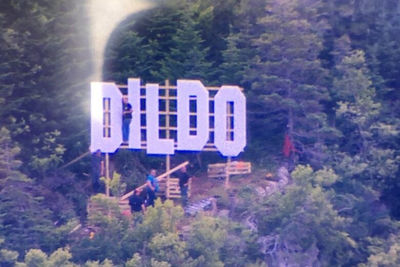 Sign on hill saying Dildo