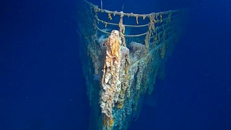 The bow of a ship sitting on the bottom of the ocean.