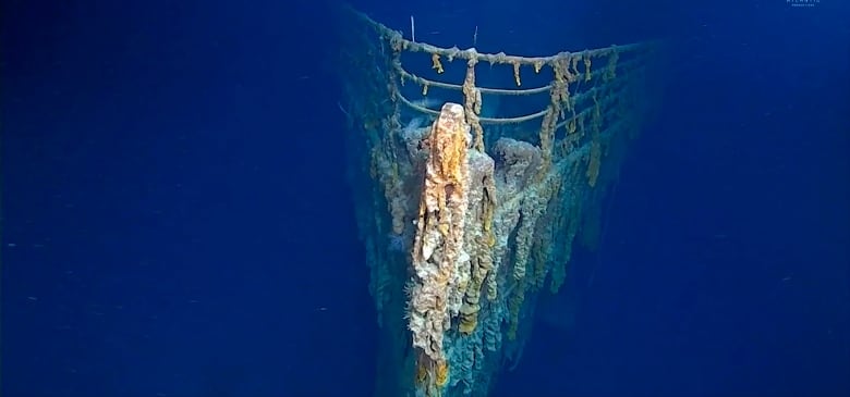 The bow of a ship sitting on the bottom of the ocean.