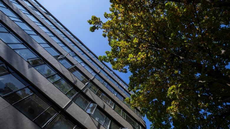 A apartment building seen from below with a leafy tree beside it.