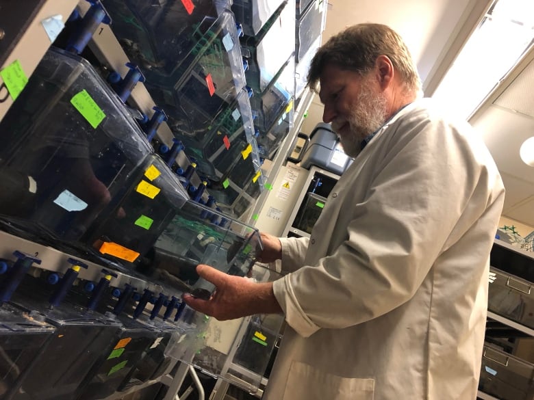 A man in a white lab coat stands in front of a wall of frog tanks