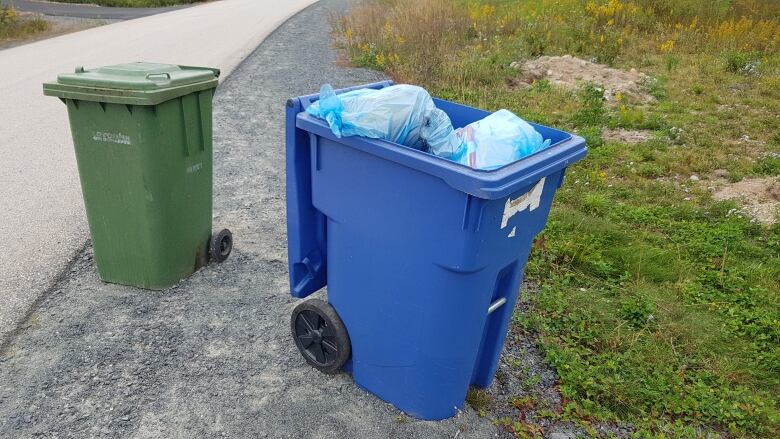 blue bin green bin