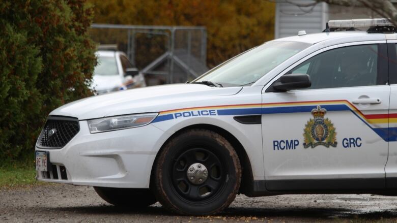 A close up of the front half of a white RCMP sedan police car.