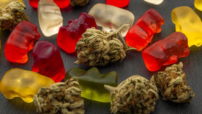 Cannabis buds are strewn on a black backdrop amongst gummy bears.