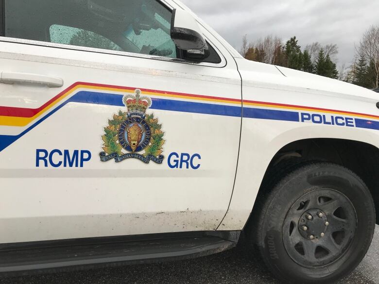 A photo of an RCMP car door.