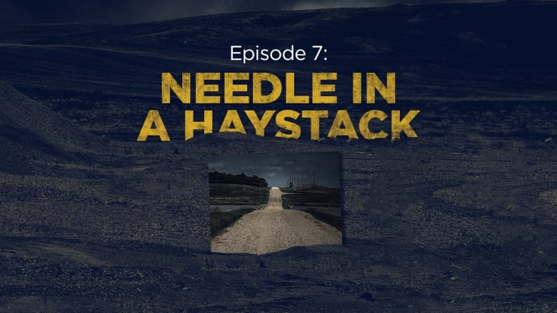 A graphic that has the words episode 7 needle in a haystack.