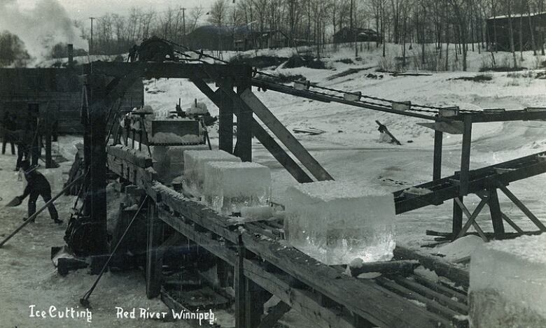 Black and white photo shows ice blocks being cut on a frozen river