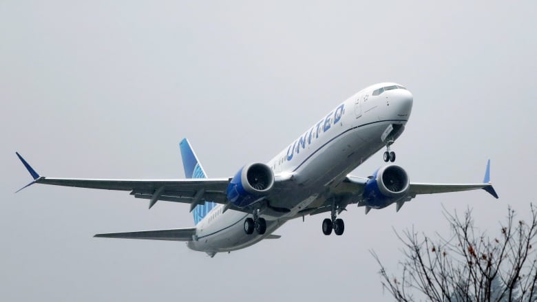 A plane flies in the sky over trees.