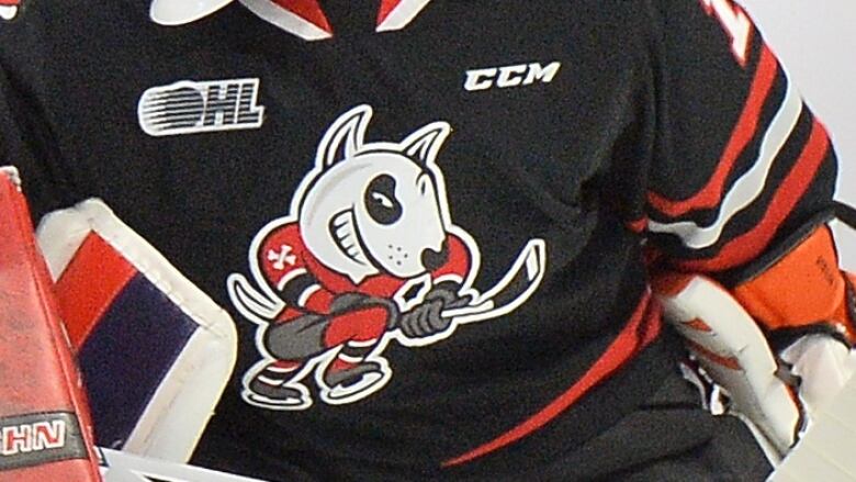 Niagara IceDogs logo.