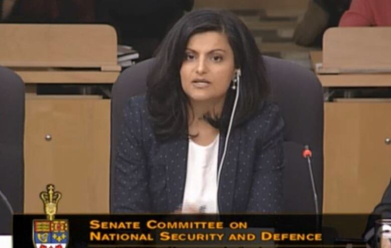 Immigration lawyer Pantea Jaffari during a Senate committee hearing.