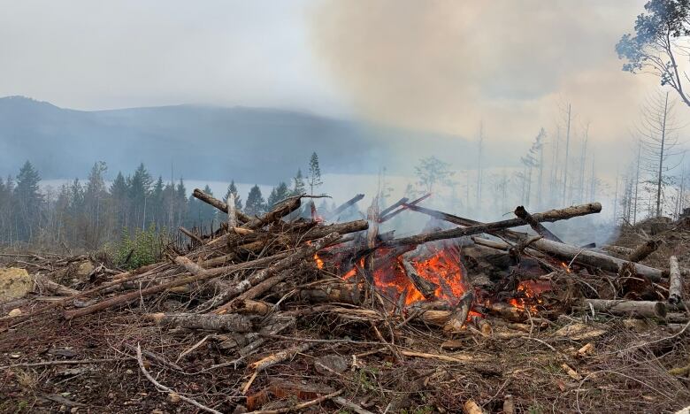 A pile of wood on fire on a mountainside, releasing grey smoke, with an inlet in the background.