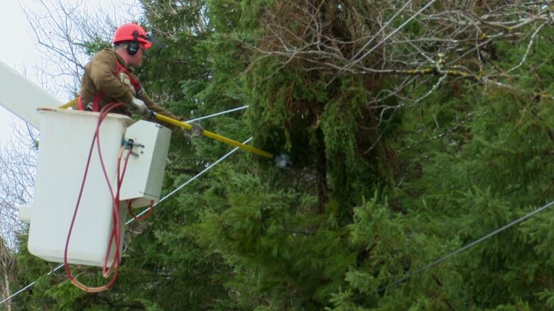 Man in bucket crane uses chainsaw on tree near power line.