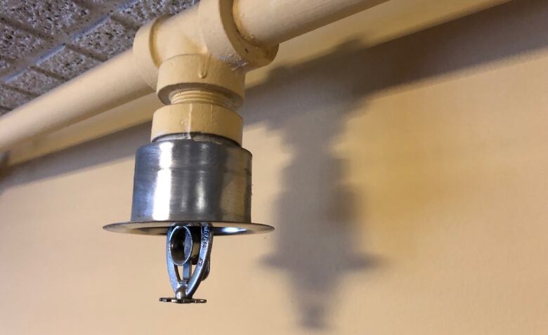 A round metal sprinkler head is attached to a pipe just below the ceiling of a building.