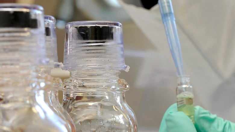 Gloved hands draw liquid from a glass vial using a pipette.