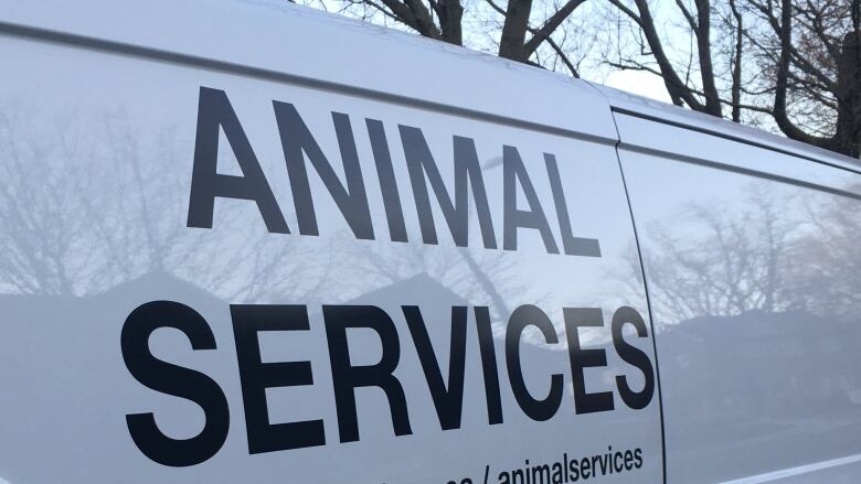 A white van that says Animal Services on the side