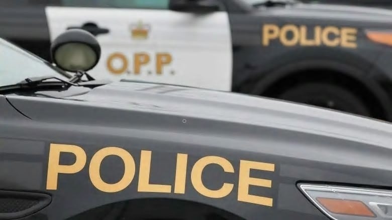 A photo showing OPP cruisers 