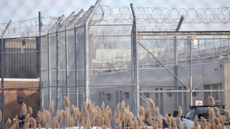 Chain link fence with barbed wire bordering a jail.