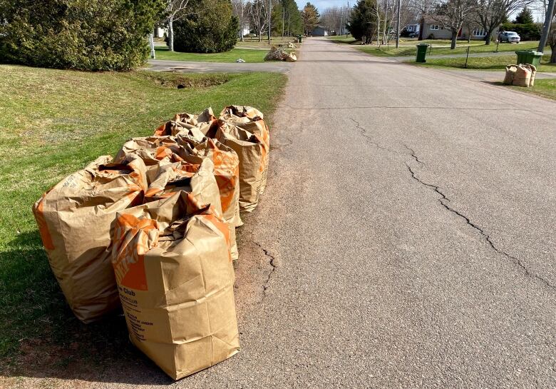 Paper bags filled with yard waste lined up at the curb.