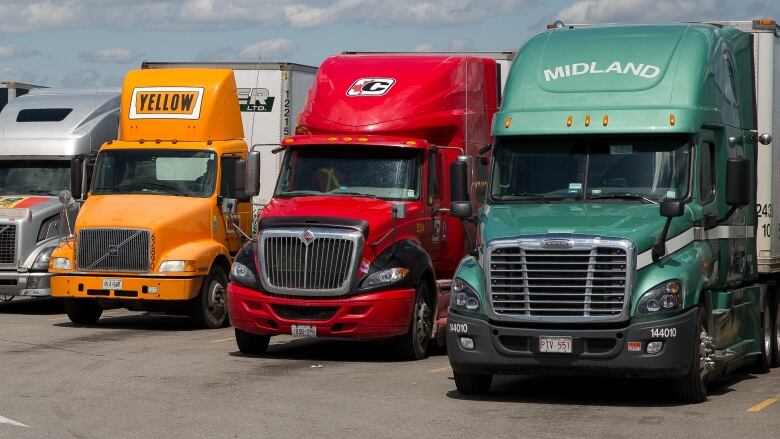 A line of parked transport trucks.