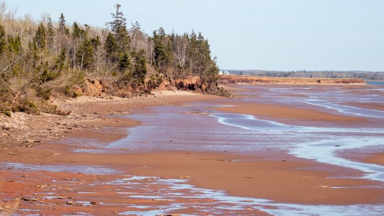 Sand beach with rocks with a cliff and forest in the background.