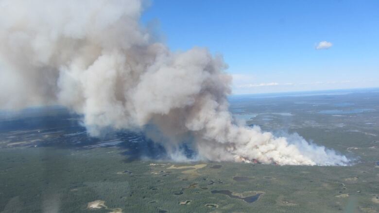 Smoke rising from forest.