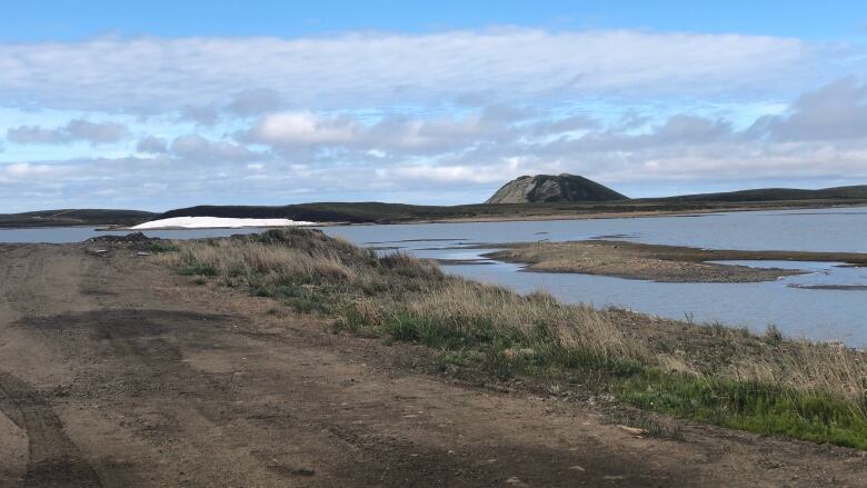 A dirt road along an Arctic shoreline.