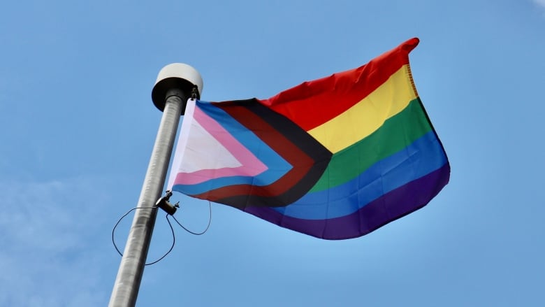 A Progress Pride flag is pictured.