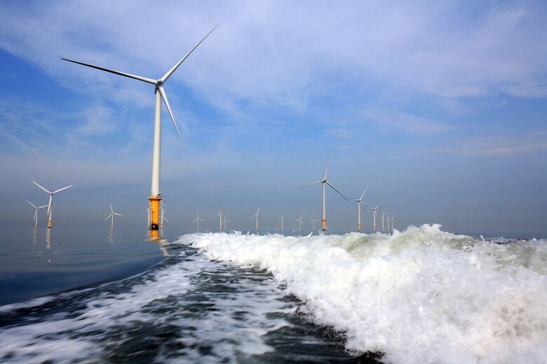 A wave of water created by a boat angles off into the distance leading to a line of large white wind turbines sticking out of the water.