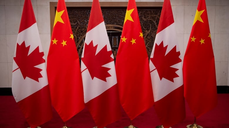 A row of alternating Chinese and Canadian flags.