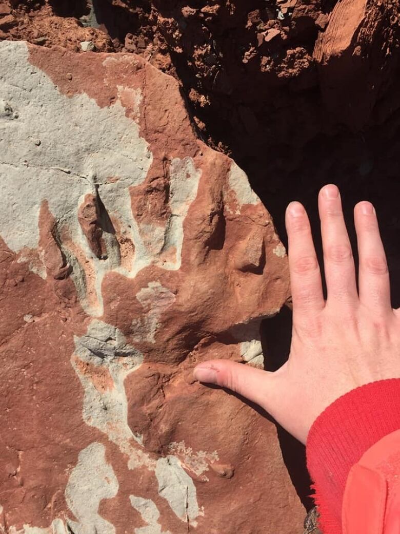 A woman's hand is shown next to a reptilian claw print in a block of sandstone.