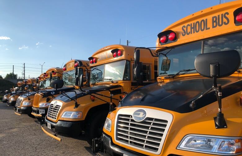 Parked yellow school buses