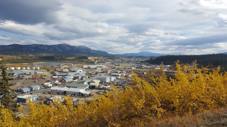 Looking down on a city in fall.