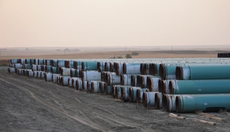 Dozens of sections of pipe sit in rows.