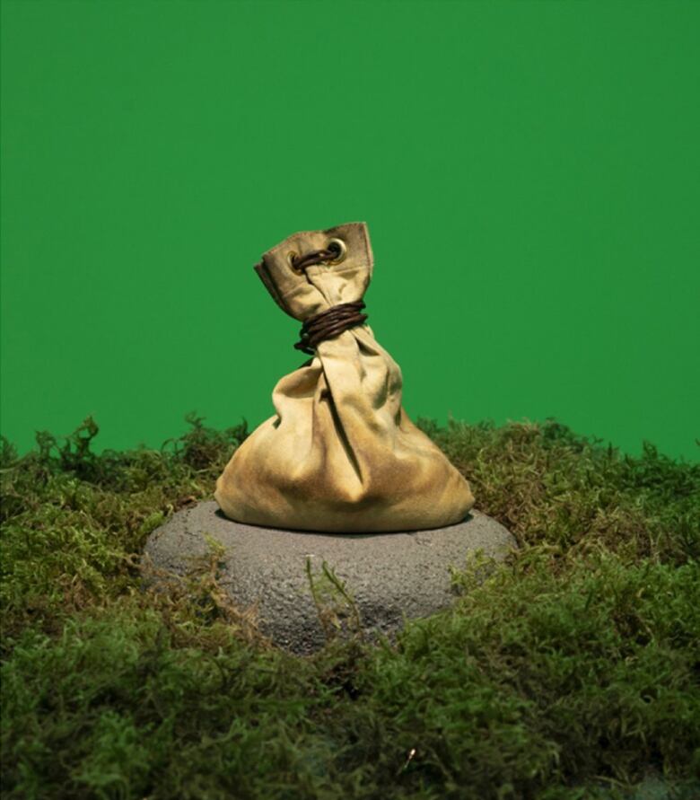 A brown sack, sitting on a rock surrounded by moss. 