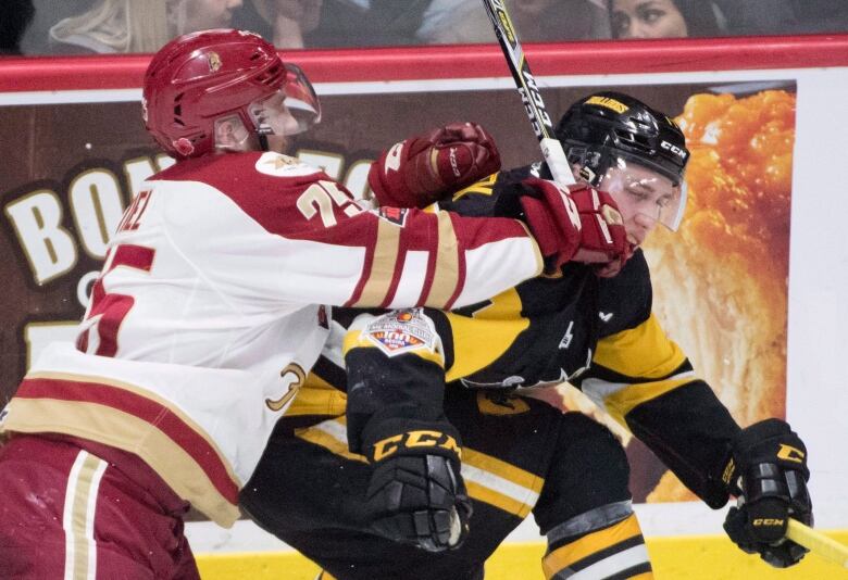 Two hockey players fight 