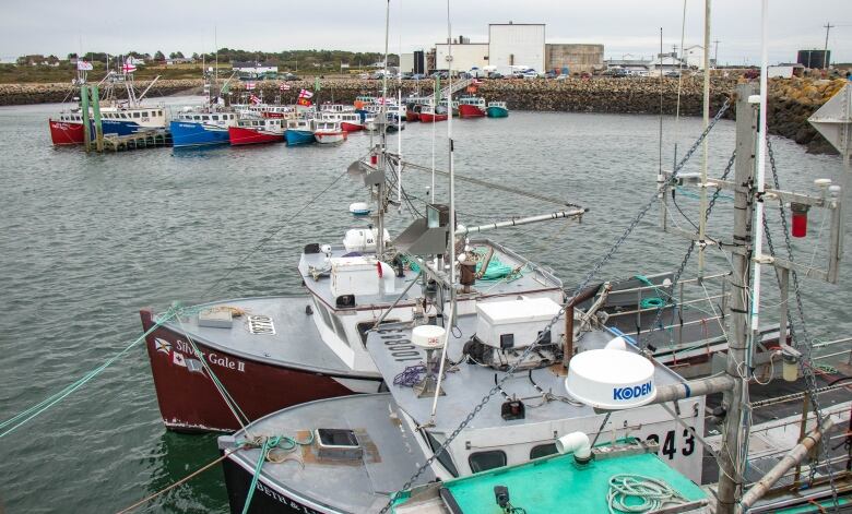 Boats are seen tied up at a wharf