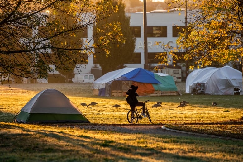 A series of shelters.