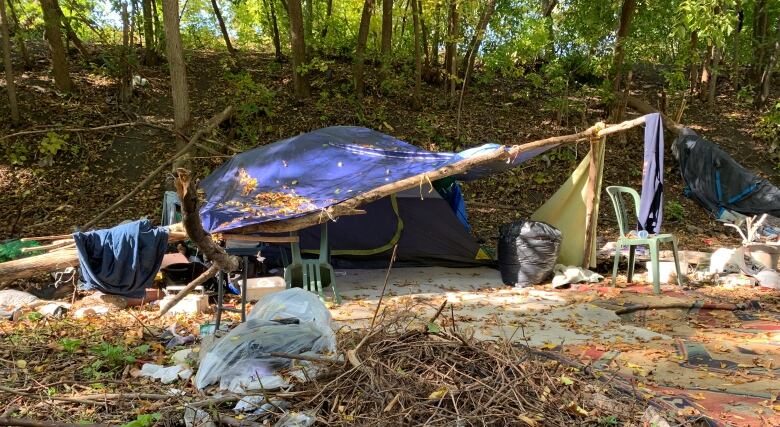 As of Monday, 14 people are living in this downtown Windsor encampment.