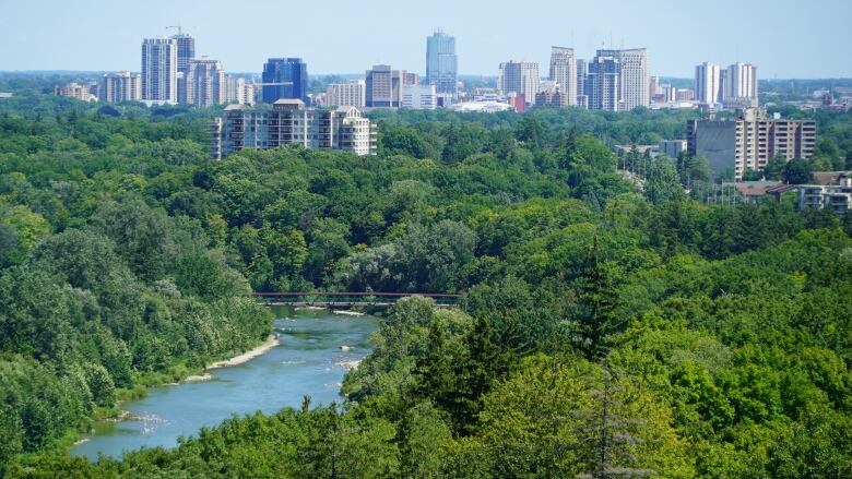 Downtown skyscrapers poke through the trees in London, Ont. Taken on August 20, 2020. 