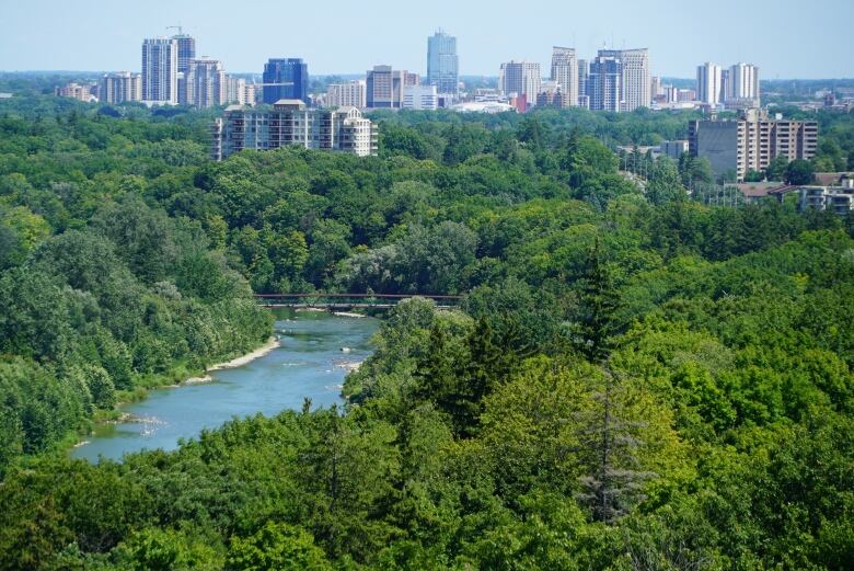 Downtown skyscrapers poke through the trees in London, Ont. Taken on August 20, 2020. 